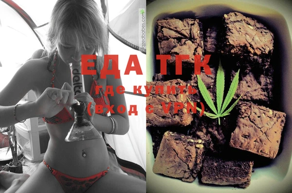 индика Алексин