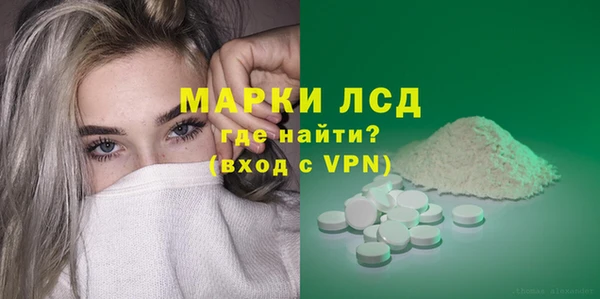 индика Алексин