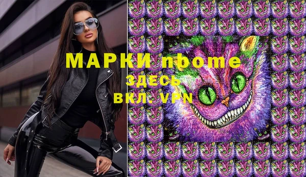 индика Алексин