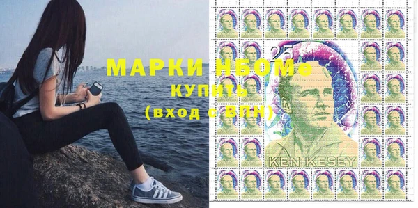 индика Алексин