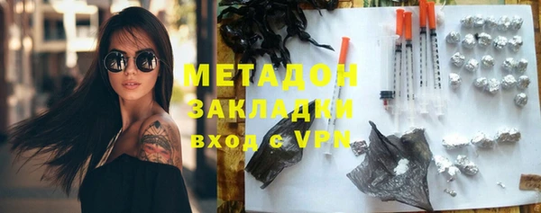 индика Алексин