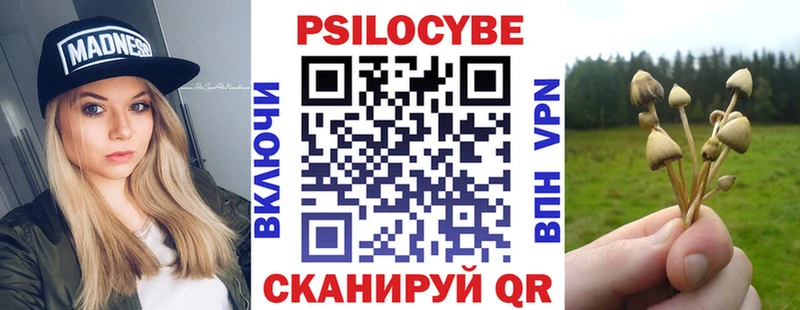 Галлюциногенные грибы Psilocybe ссылка на мегу маркетплейс Родники где продают наркотики
